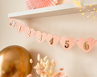 12 Month Photo Banner, Girl First Birthday Decorations, Monthly Photo Banner, First Year Photo Clips