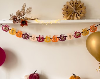 Pumpkin Photo Banner, Little Pumpkin First Birthday, Fall 1st Birthday