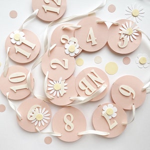 Banner fotografico margherita per 12 mesi, fiore margherita, decorazioni per il primo compleanno