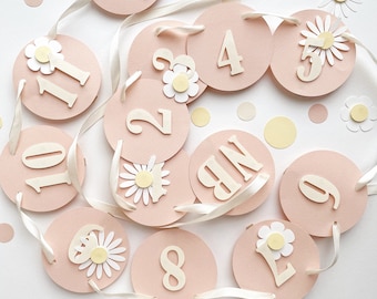 Daisy 12 Month Photo Banner Daisy Flower 1st Birthday Decorations