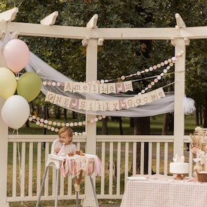 One Silly Goose Party Hat, Pink Goose 1st Birthday Party Decorations