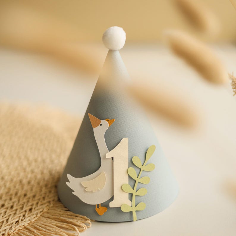 One Silly Goose Birthday Hat - Boy 1st Birthday Party Decorations