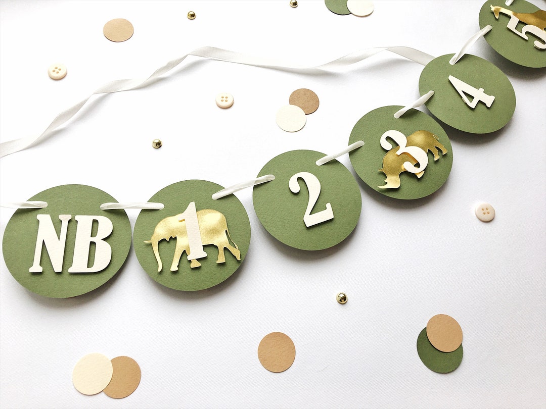 Safari Photo Banner, Jungle 1st Birthday Decor, Monthly Banner, Wild ...