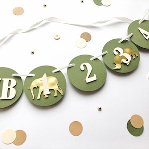Safari Photo Banner, Jungle 1st Birthday Decor, Monthly Banner, Wild One Party, 12 Month Banner