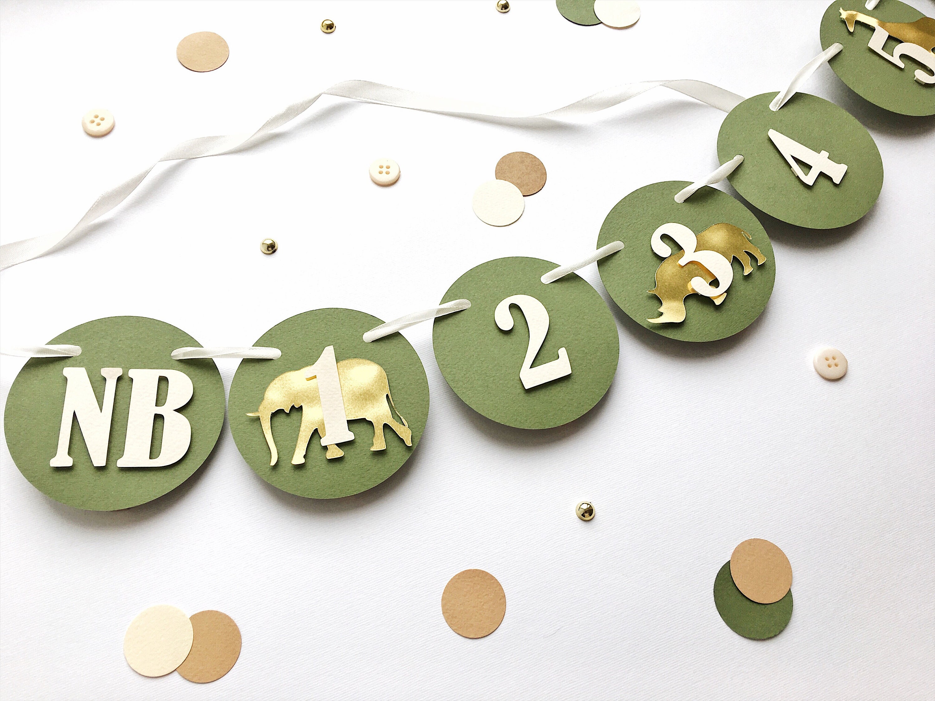 Safari Photo Banner, Jungle 1st Birthday Decor, Monthly Banner, Wild One Party, 12 Month Banner
