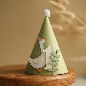 One Silly Goose Birthday Hat - Boy 1st Birthday Party Decorations