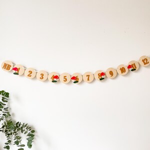 Mushroom Highchair Banner, Fairy First Birthday, Toadstool Party Decor image 13