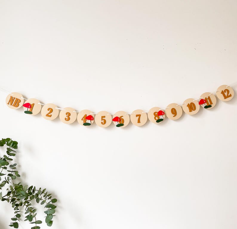 Mushroom Highchair Banner, Fairy First Birthday, Toadstool Party Decor image 13