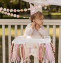 One Silly Goose High Chair Banner, Pink Goose 1st Birthday Decoration product logo