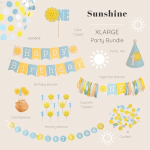 One in the Sun Birthday Bundle, Boy You are my Sunshine Decorations