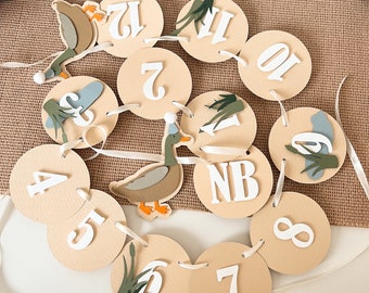 Lucky Duck 1st Birthday Photo Banner - Milestone Mallard Party Decorations RTS
