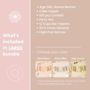 One Silly Goose 1st Birthday Bundle, Vintage Goose Party Decorations
