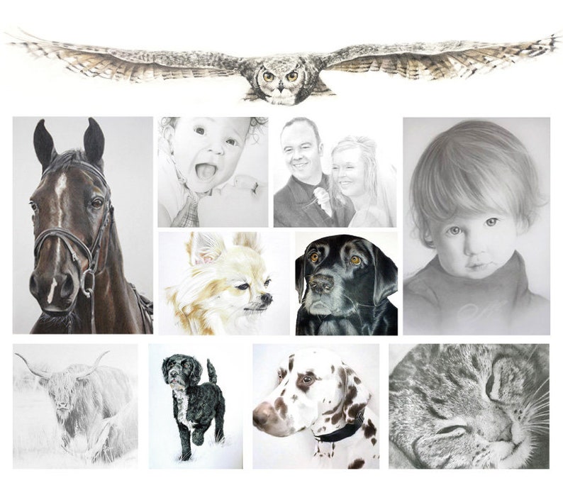 Pet Portrait Custom Portrait Drawing Family Portrait Child Portrait GIFT VOUCHER Coloured Pencil Portrait