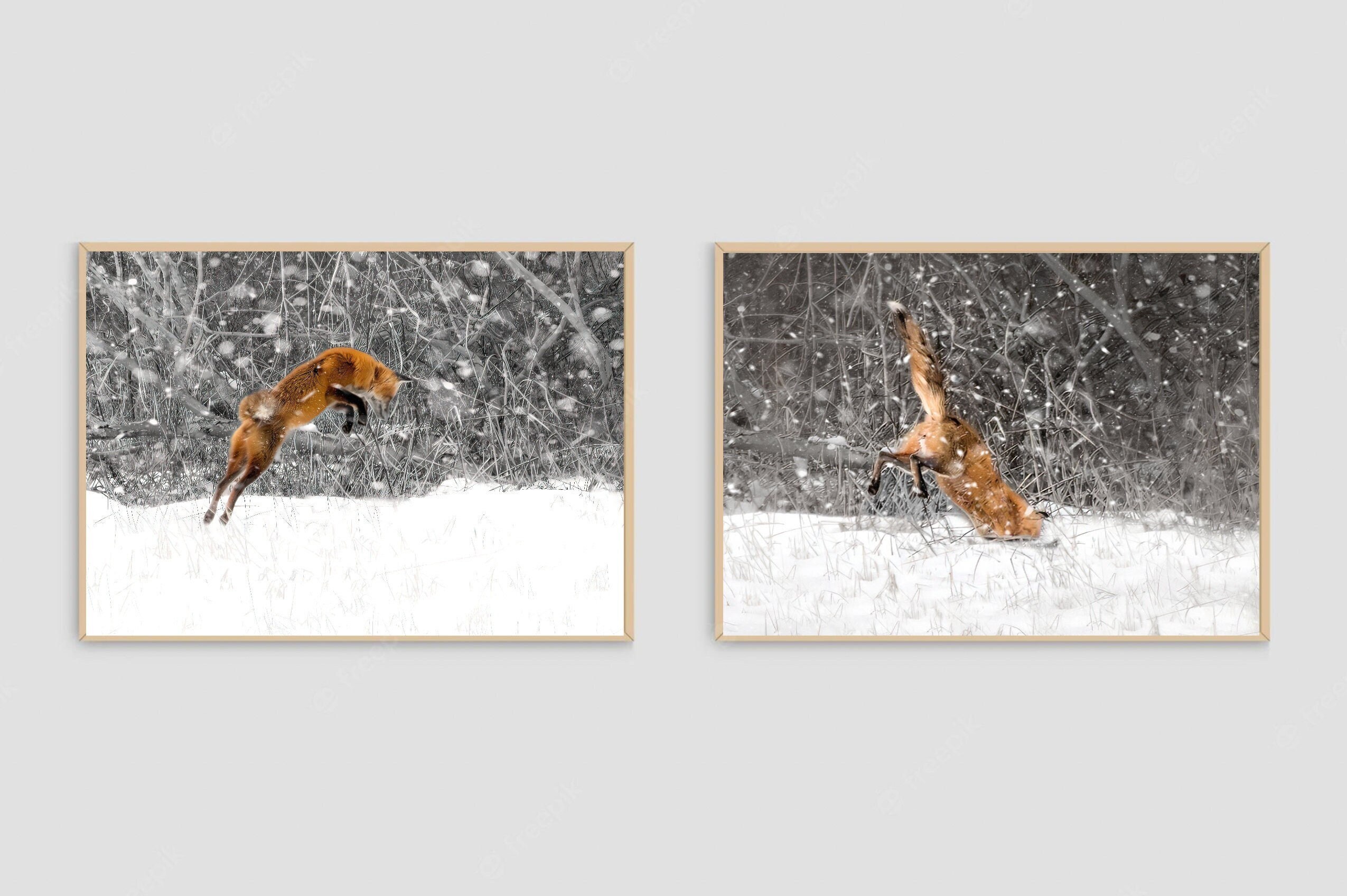 Fox Jumping in Snow Photograph, Fox Wall Art, Pouncing Red Fox in ...