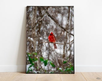 Cardinal in the Winter Snow, Bird in the snow storm, Wintertime Cardinal, Red Bird in the Snow, Wintertime Photography, Bird Photography Art