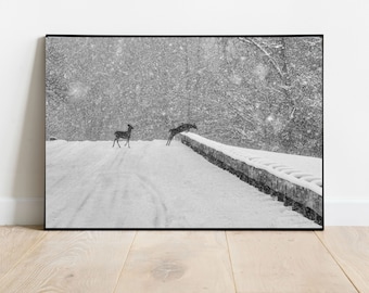 冬の吹雪を渡る鹿、冬の写真、冬のプリント、野生動物の写真、雪の鹿、雪の写真、動物のプリント