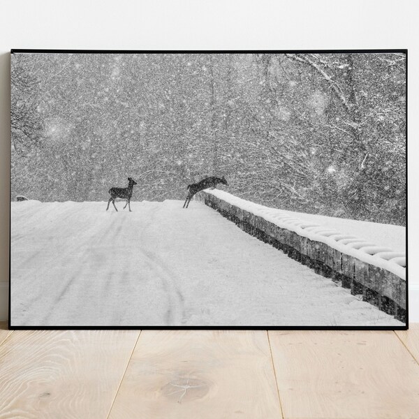 Deer Crossing Winter Snow Storm, Winter Photography, Wintertime Prints, Wildlife Photography, Snow Deer, Snow Photography, Animal Print