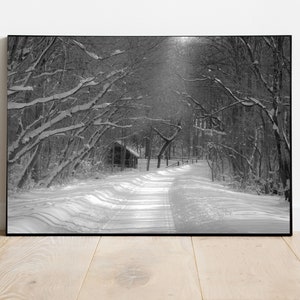 May include: A black and white photograph of a snowy path through a forest. The path is lined with trees covered in snow, and the sun is shining through the branches.