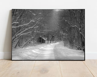 Winter Photography, Winter Print, Black and White, Snow Print, Cabin in the Woods, Snow Path, Wintertime Prints, Wintertime Photography