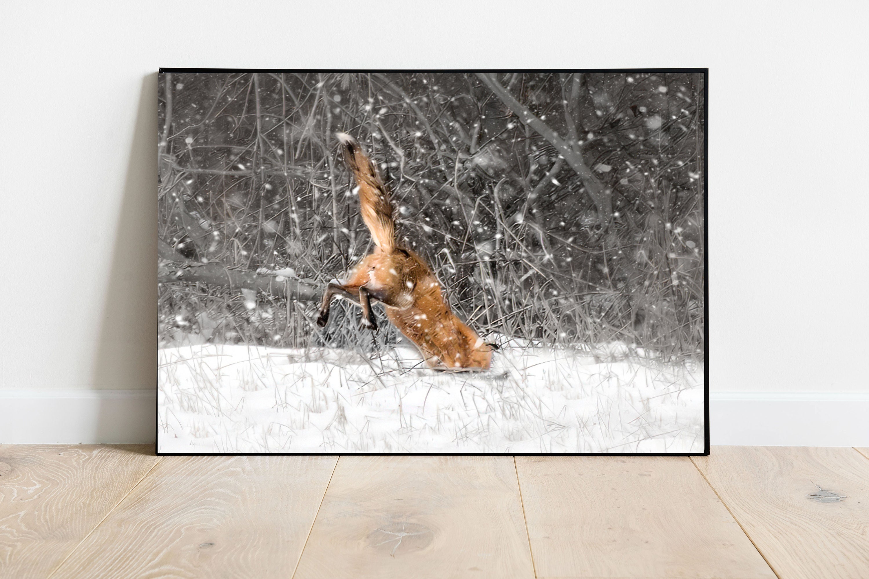 Fox Jumping in Snow Photograph, Fox Wall Art, Pouncing Red Fox in ...
