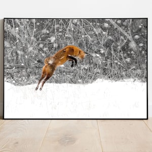 May include: A red fox leaps through a snowy forest, with the background blurred and in black and white.