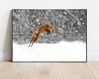 Fox Jumping in Snow Photograph, Fox Wall Art, pouncing red fox in winter snow fine art, Red Fox in a winter snow storm print