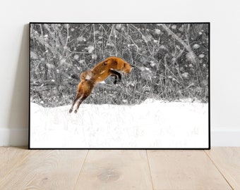 Fox Jumping in Snow Photograph, Fox Wall Art, pouncing red fox in winter snow fine art, Red Fox in a winter snow storm print