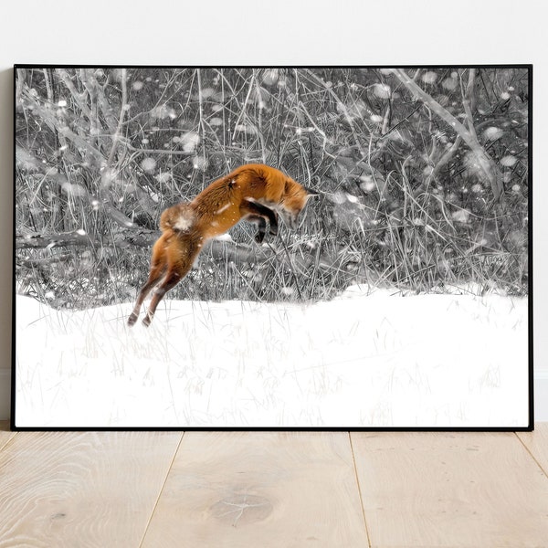 Fox Jumping in Snow Photograph, Fox Wall Art, pouncing red fox in winter snow fine art, Red Fox in a winter snow storm print