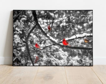 Cardinals in the Snow, Bird in the snow print, Wintertime Cardinals, Red Bird Snow, Winter Photography, Bird Photography, Cardinal, Print