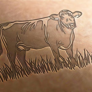 Op de afbeelding: Een lijntekening van een bruine koe die in een grasveld staat. De koe kijkt naar rechts en heeft een witte vlek op zijn voorhoofd.