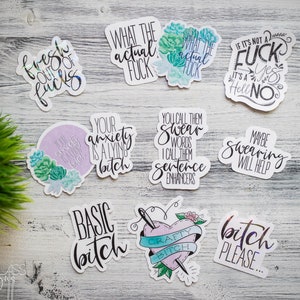 Aufkleber ~ Swear Aufkleber SETS ~ WTF Fake Bitch Anxiety Satzvergrößerer Sukkulenten Handbeschriftetes Zitat Swearing ~ Wasserdicht holographisch