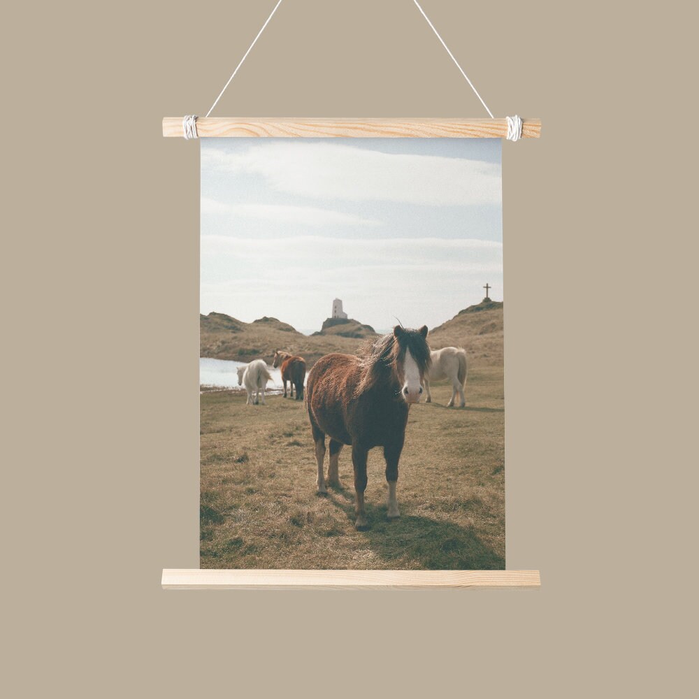 Horse Decor Printable Wall Art Horse Print Digital Download Etsy