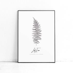 Fern Botanical Print, Botanical Print Sets, Vintage Fern Prints, Fern Print Set, Nordic Art Design, Gallery Wall Plant Leaf Art Print image 4