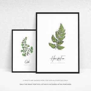 Printable Fern Wall Art Decor, Fern Botanical Print, Fern Wall Hanging, Green Leaves Poster, Modern Leaves Print, Modern Large Art image 3