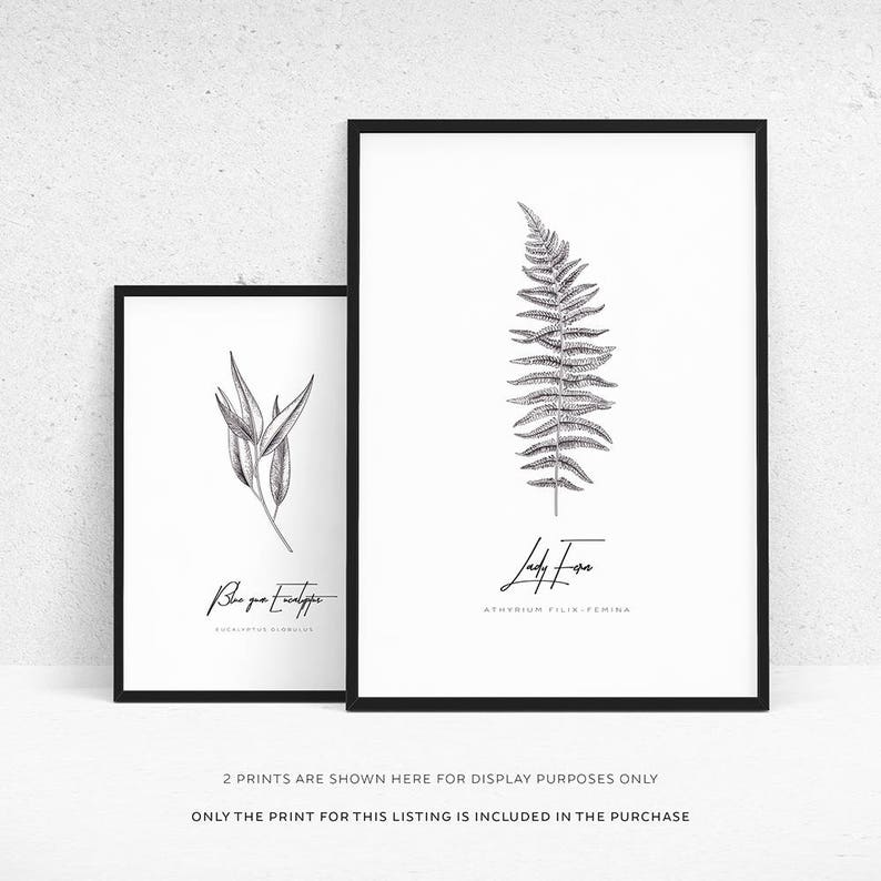 Fern Botanical Print, Botanical Print Sets, Vintage Fern Prints, Fern Print Set, Nordic Art Design, Gallery Wall Plant Leaf Art Print image 2