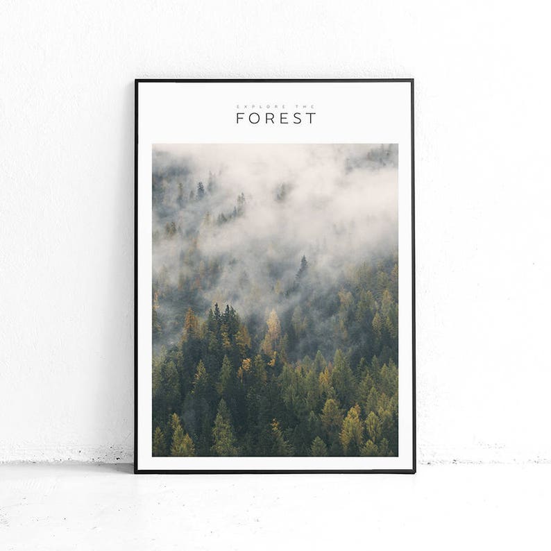 Printable Forest Art, Explore Decor, Nordic Print Design, Modern Large Print, Large Wall Art Ideas, Entryway Decor, Home Decor Printable Art image 3