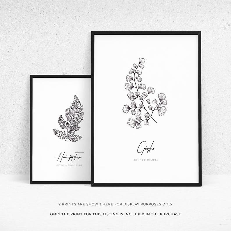 Ginkgo Leaf Botanical Prints, Ginkgo Leaves Printable Wall Art, Pressed Flowers Minimal Poster Print, Botanical Prints, Botanical Print Sets image 3
