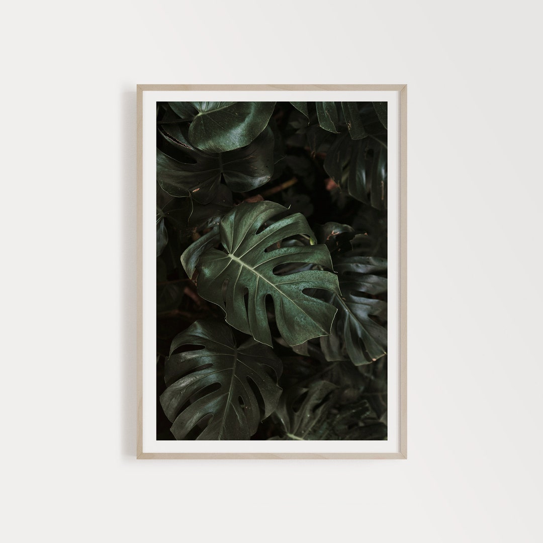 Monstera Leaves Gallery Wall Ideas Printable Monstera Wall Etsy