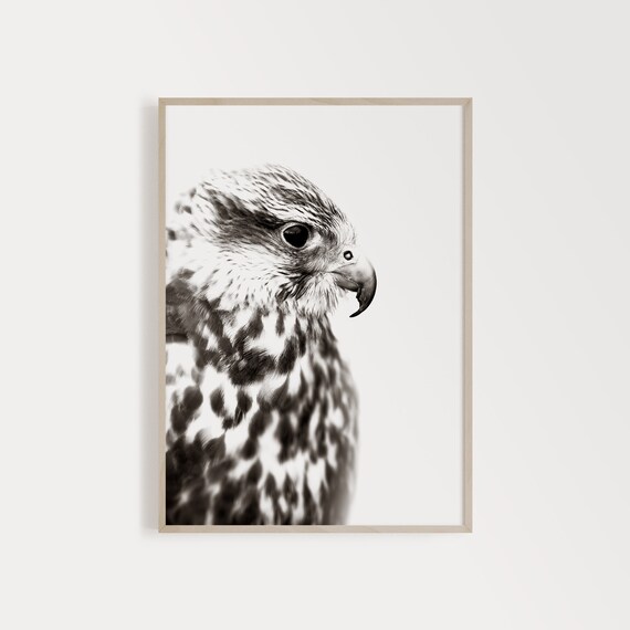 Black and White Printable Bird Posters Large Nordic Nature | Etsy