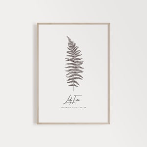 Fern Botanical Print, Botanical Print Sets, Vintage Fern Prints, Fern Print Set, Nordic Art Design, Gallery Wall Plant Leaf Art Print image 1