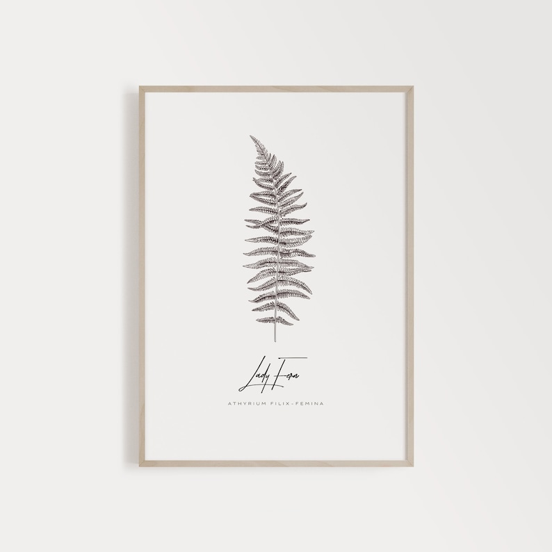 Fern Botanical Print, Botanical Print Sets, Vintage Fern Prints, Fern Print Set, Nordic Art Design, Gallery Wall Plant Leaf Art Print image 1