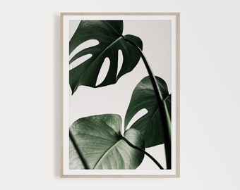 Printable Monstera Wall Decor, Monstera Leaf Nordic Wall Print, Monstera Leaves Gallery Wall Ideas, Monstera Leafs Gallery Wall Set