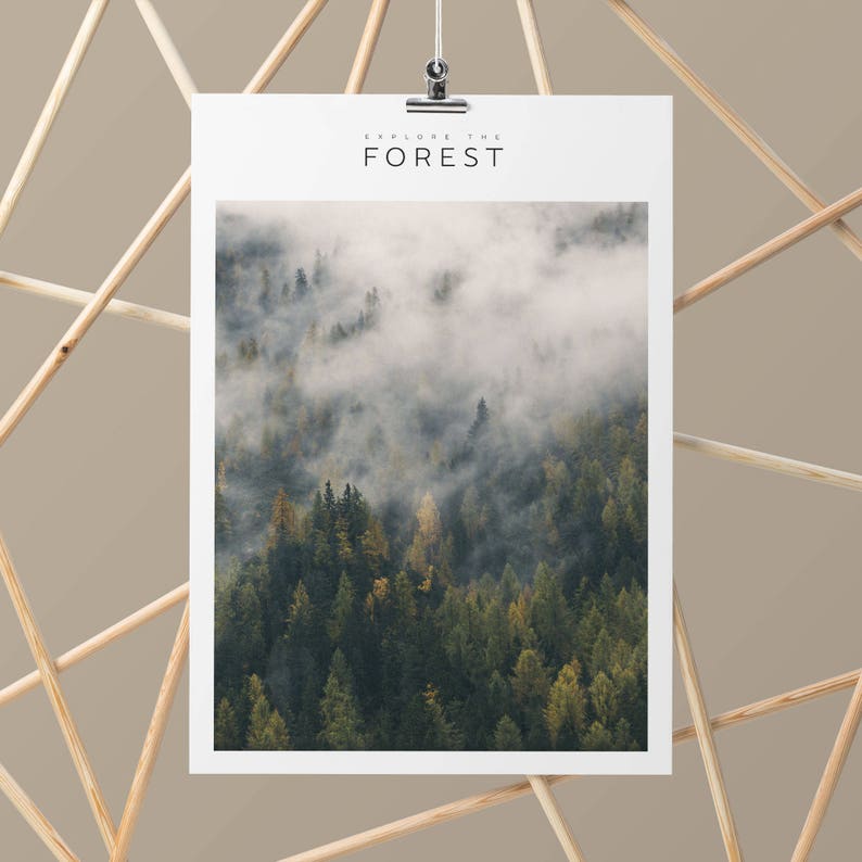 Printable Forest Art, Explore Decor, Nordic Print Design, Modern Large Print, Large Wall Art Ideas, Entryway Decor, Home Decor Printable Art image 7