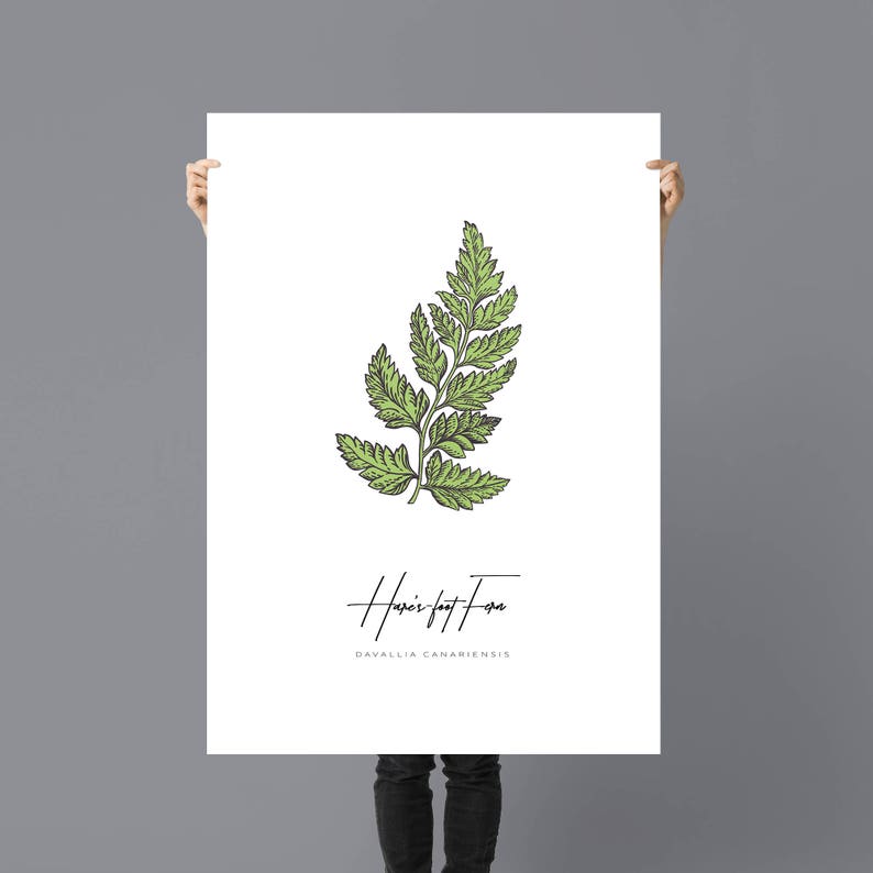 Printable Fern Wall Art Decor, Fern Botanical Print, Fern Wall Hanging, Green Leaves Poster, Modern Leaves Print, Modern Large Art image 2