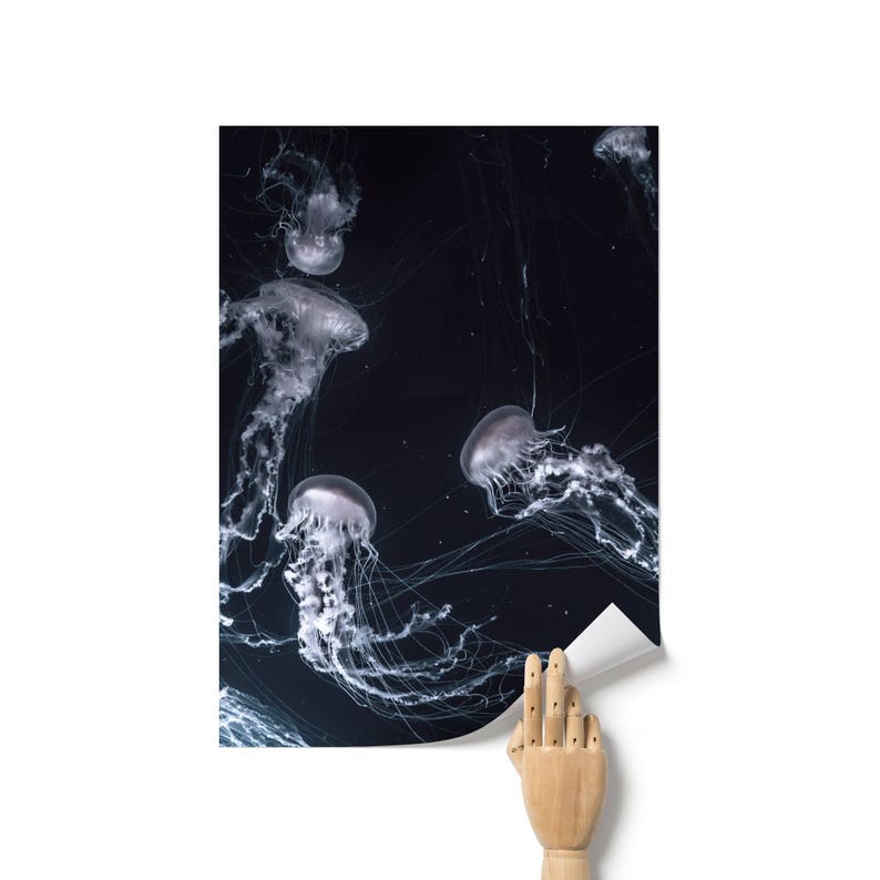 Printable Jellyfish Dark Blue Wall Art Under The Sea | Etsy