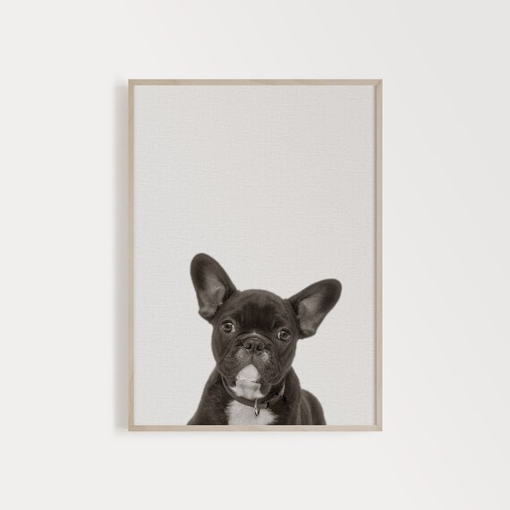 frenchie wall art
