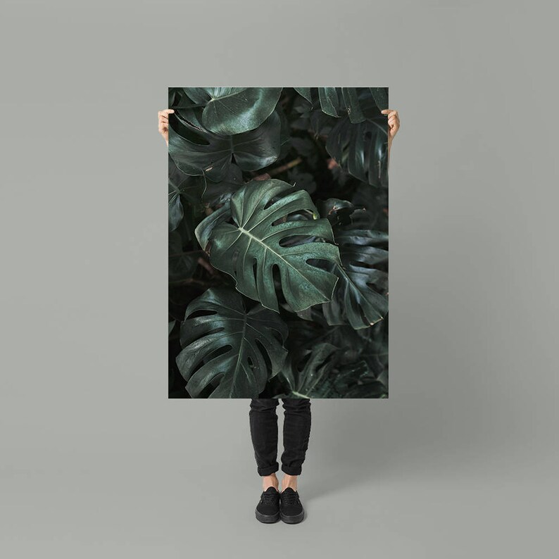 Monstera Leaves Gallery Wall Ideas Printable Monstera Wall Etsy