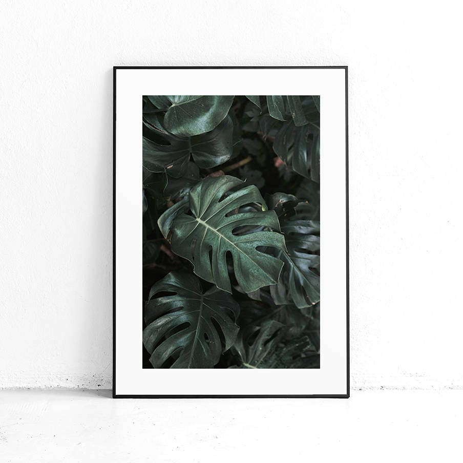 Monstera Leaves Gallery Wall Ideas Printable Monstera Wall Etsy