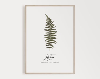 Fern Print Plant Leaf Wall Art, Botanical Print Sets, Vintage Fern Print, Plant Art Printable Wall Art, Nordic Wall Print, Botanical Prints