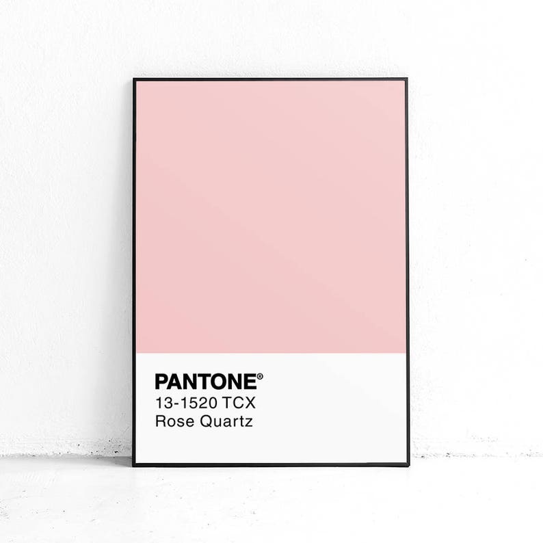 Pantone rose. Постер пантон. пантон 2309 с. pantone rose quartz. pantone 1001.